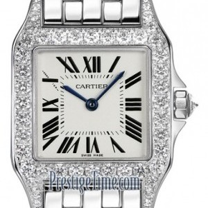 Cartier Wf9003y8  Santos Demoiselle - Small Ladies Watch wf9003y8 263433
