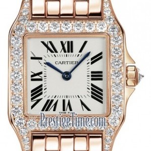 Cartier Wf9008z8  Santos Demoiselle - Small Ladies Watch wf9008z8 265105