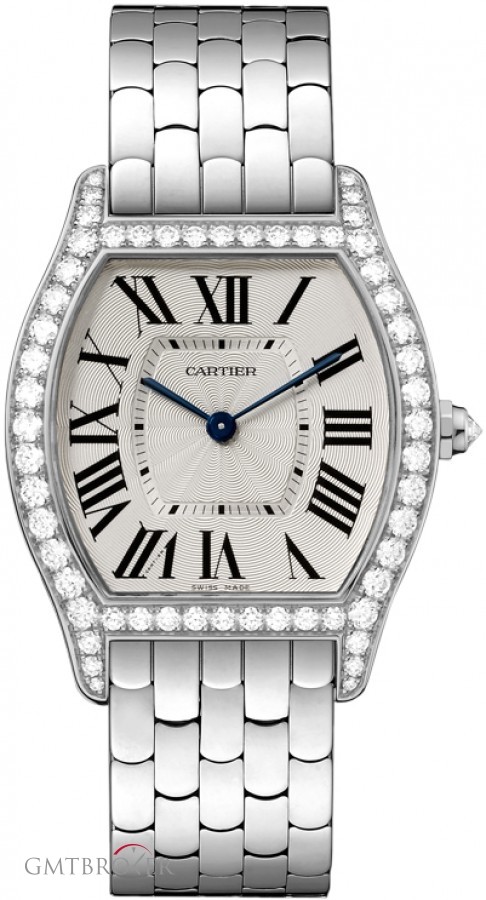 Cartier Wa501013  Tortue Ladies Watch wa501013 252623