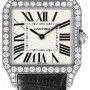 Cartier Wh100251  Santos Dumont Ladies Watch
