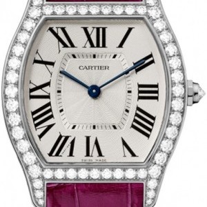 Cartier Wa501009  Tortue Ladies Watch wa501009 252805