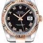 Rolex 116231 Black Roman Oyster  Datejust 36mm Stainless