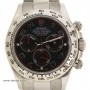 Rolex DAYTONA 116509H IN WHITE GOLD 40MM