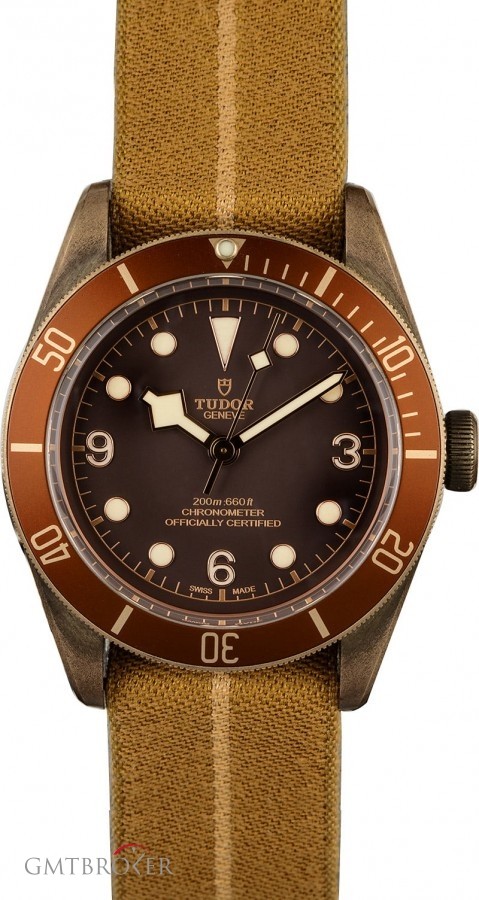 Tudor Heritage Black Bay 79250BM Bronze Case 79250BM 834757