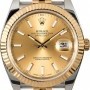 Rolex Unworn  Datejust 126333 Champagne Dial