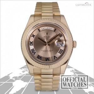 Rolex About this watch 218235 470517