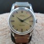 Rolex Oyster Perpetual 1018 swiss Tropical Dial Big Size