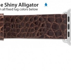 Anonimo Apple Compatible 24mm Genuine Shiny Alligator Regu AP1050 707713