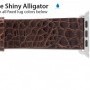 Anonimo Apple Compatible 24mm Genuine Shiny Alligator Regu