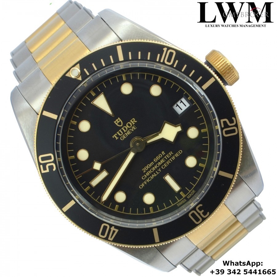 Anonimo TUDOR  Heritage 79733N Black Bay SG black dial Fu 79733N 858674